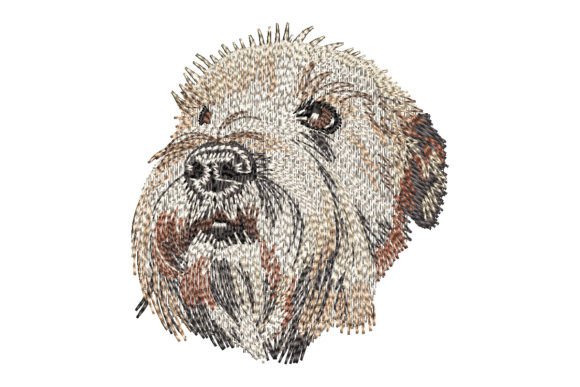 Soft Coated Wheaten Terrier